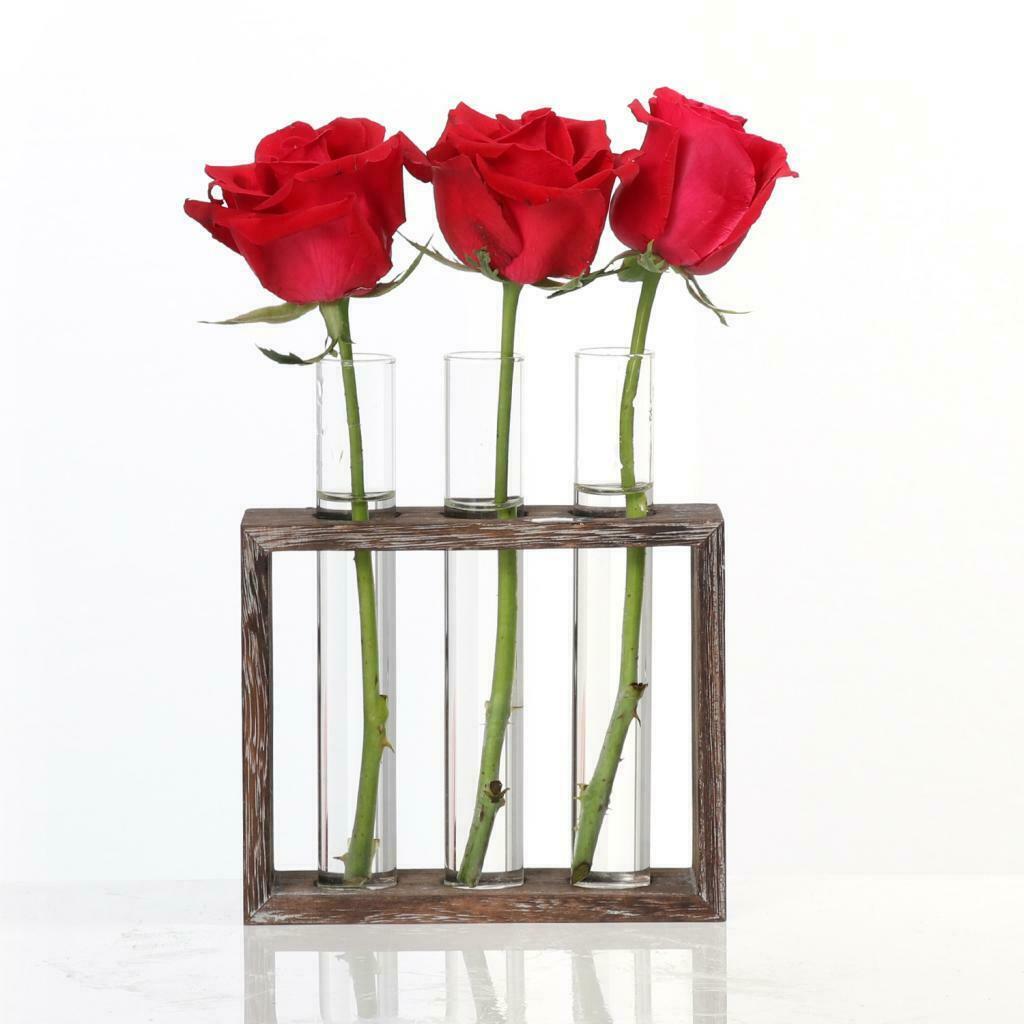 Lots 2 Tube Vase In Wooden Stand Glass Terrariumin Hydroponic Pot Planter