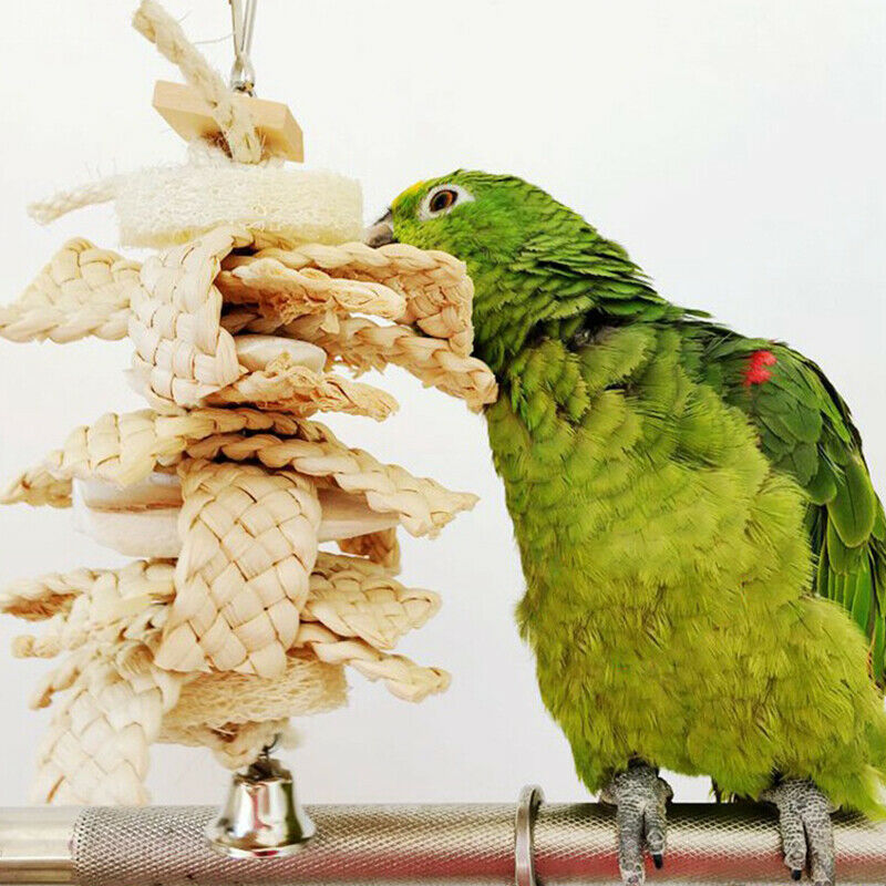 Parrot Pet Bird Chew Cages Hang Toys Chewing Swing Toys Cage Hanging Toys HN US