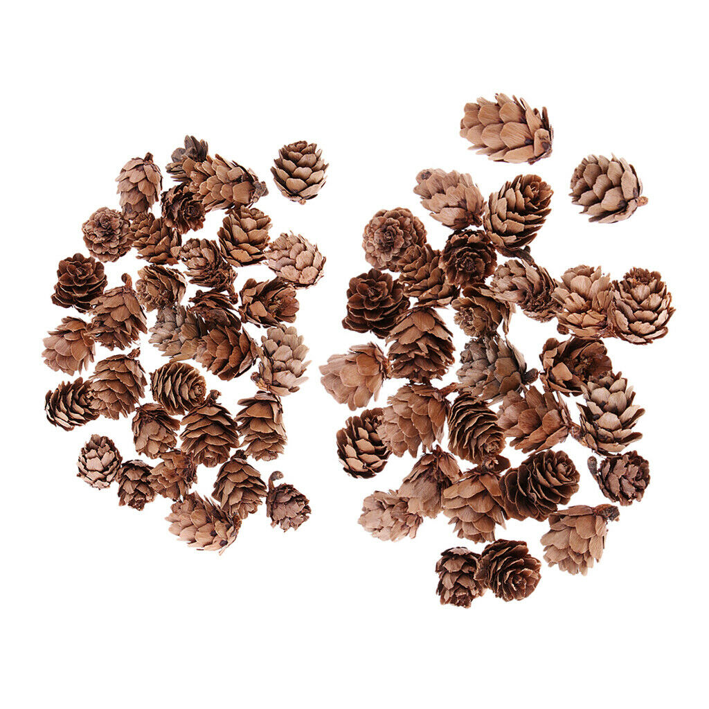 60x Mini Natural Dried Pine Cone Home Accents Ornament Christmas Decoration