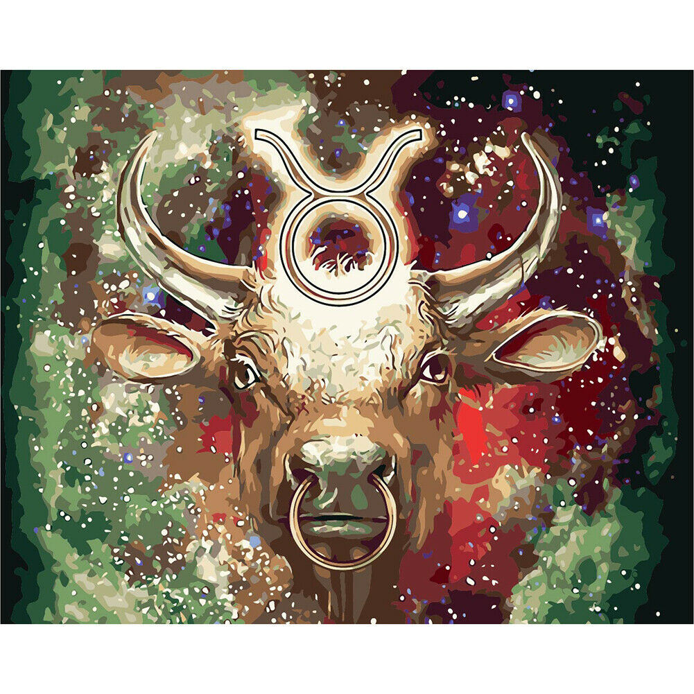 Oil Painting By Numbers Kit DIY Cow Head Canvas Hand Painted Art Wall Decor @