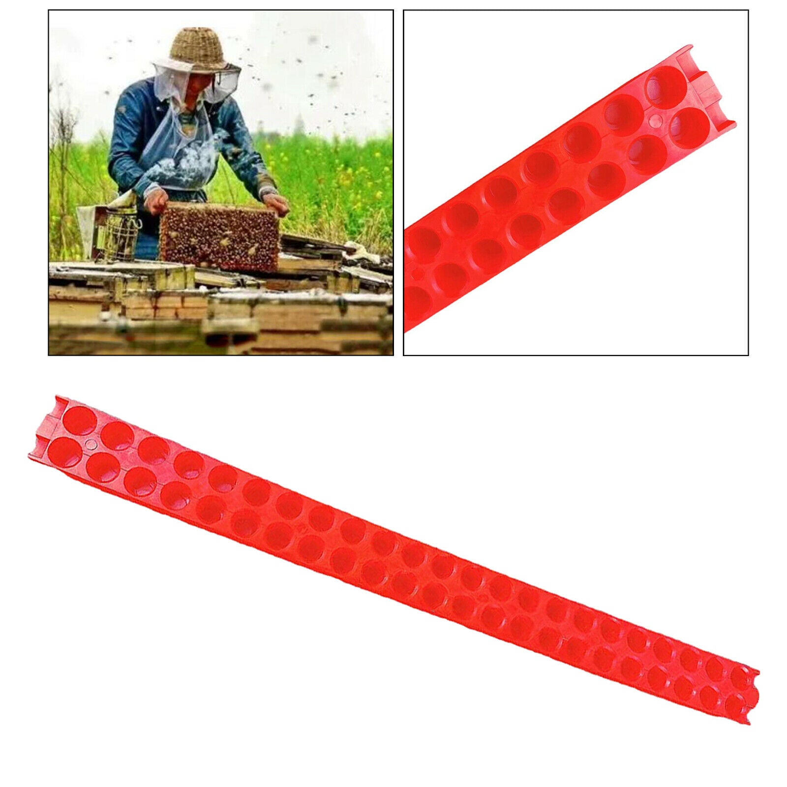 Plastic Queen Bee Transportation Strip for Isolator Cage Beekeeping Tools