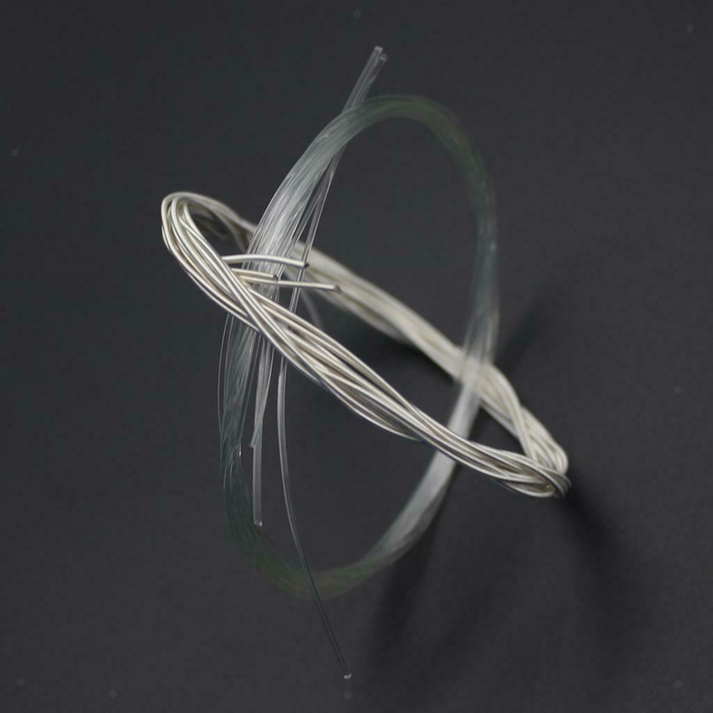 Durable 6pcs Clear Nylon Classical Guitar String Set C102 E / B / G / D