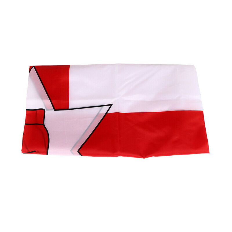 1PCS 90X150cm/5Ft X 3Ft Northern Ireland Flag North Irish Ulster F JYDFAU