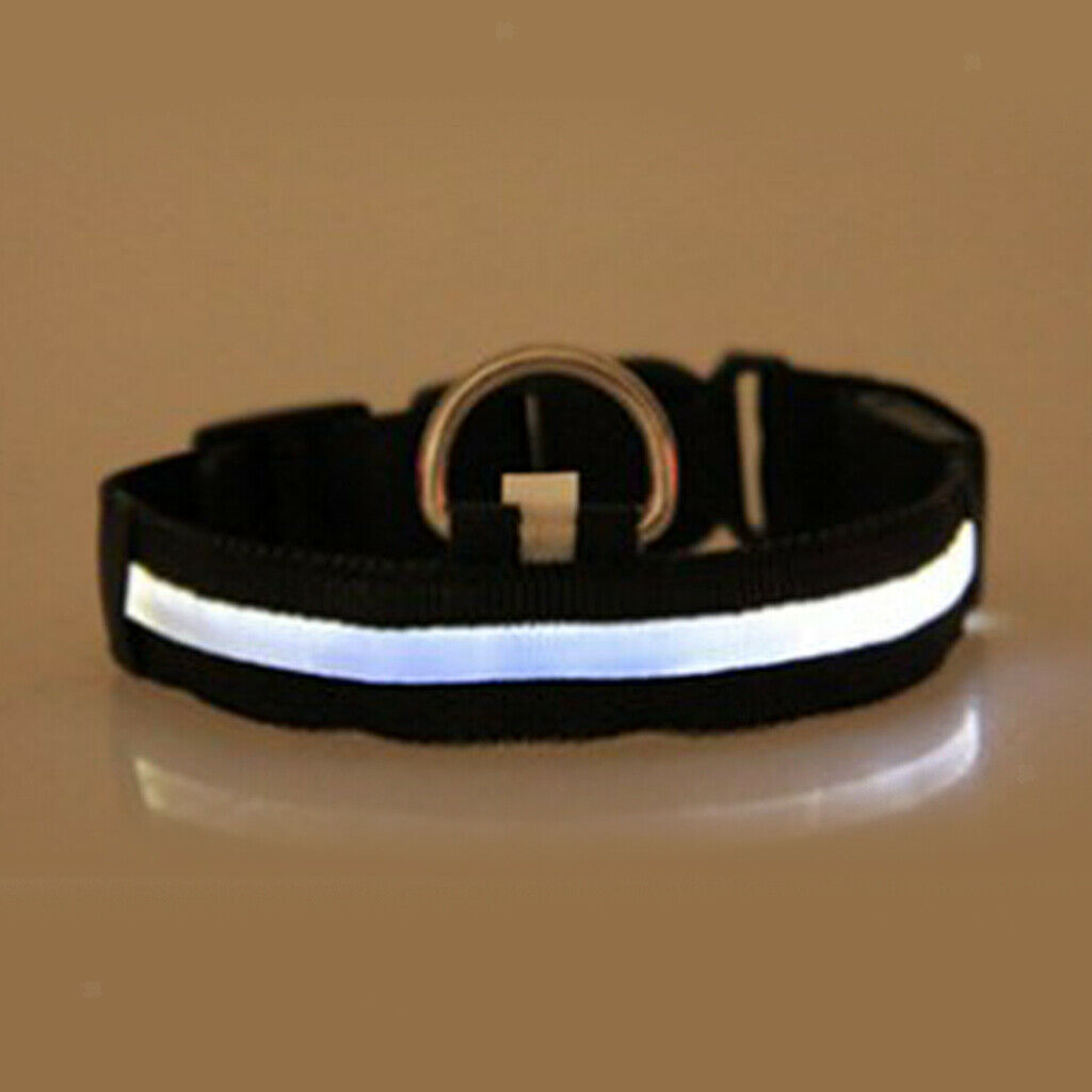 Pet Lighting Collar Light Up for Dog Puppy French Bulldog Husky Multicolor