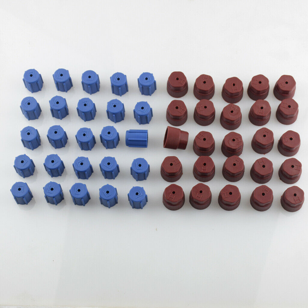 50 Pieces AC A/C Charging Port Service Caps R134a R12 13mm & 16mm Red Blue