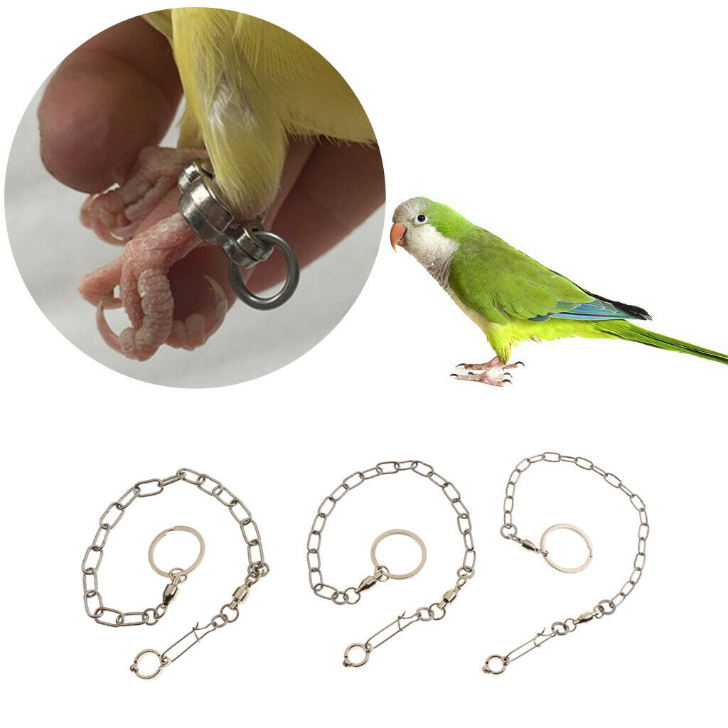 Accessories for Harness in Peony with Parrot in Parrot And Parrot