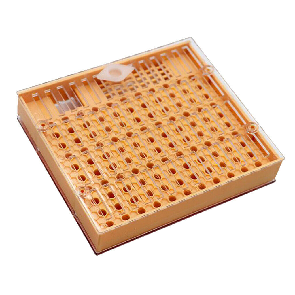 Beekeeping Bee Keeper Tools Breeding Queen Bee Cupkit Box System Beekeeping