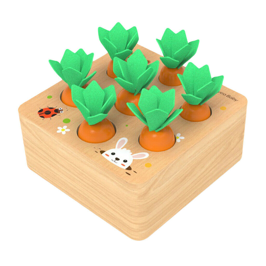 Wooden Carrot Board Finger Flexibility Kit Early Educational Color Gift