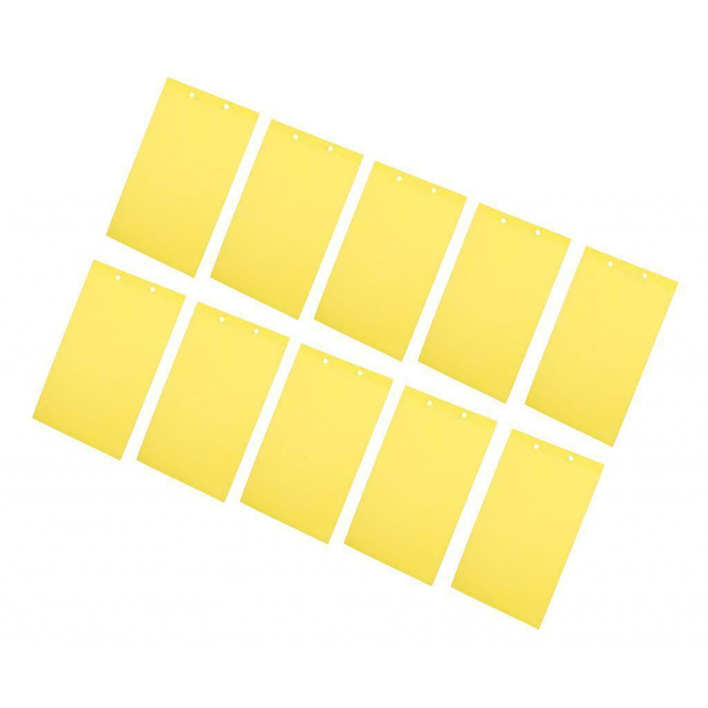 40-Pack Dual-Sided Sticky Traps for Indoor/Outdoor Insect, Such as Fungus Gnats,