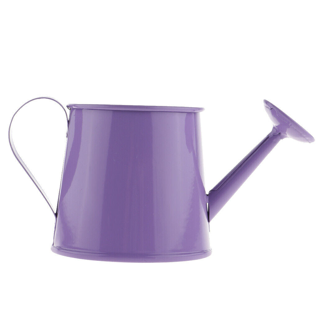 4xPastoral Style Colorful Tin Flower Pot Mini Bonsai Watering Can Pot