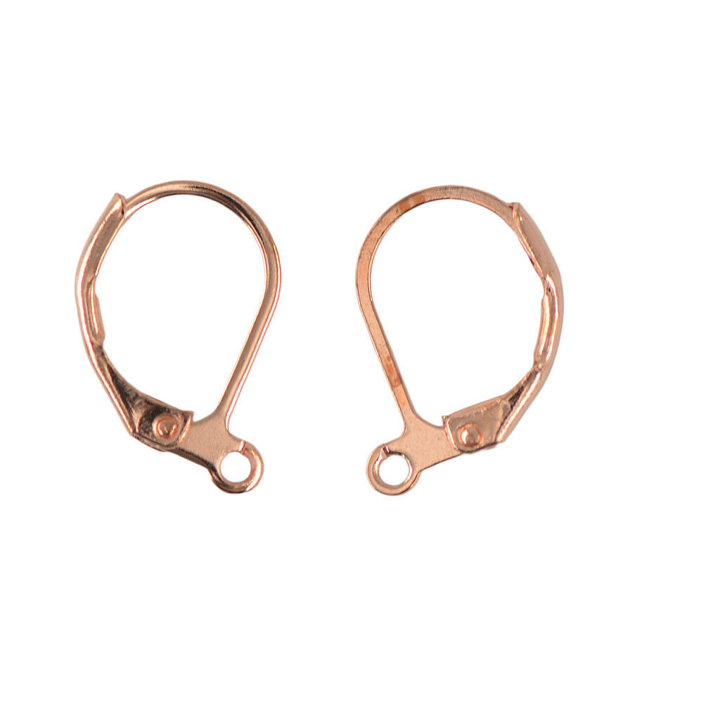 100pcs French Hooks Ear Wire Connector Lever Back Earrings Finding Wholesale