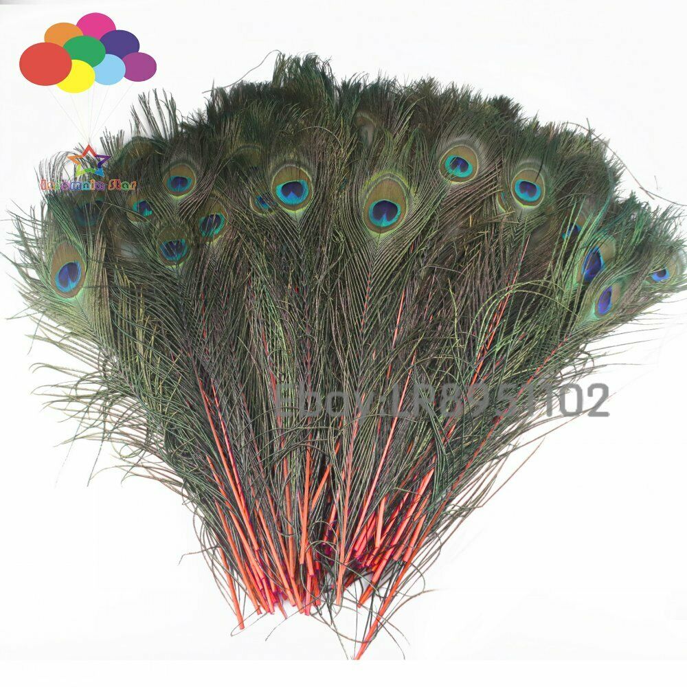 100 PCS Natural Peacock Feather Red 40-45 cm Clothing Decoration Plumage Crafts