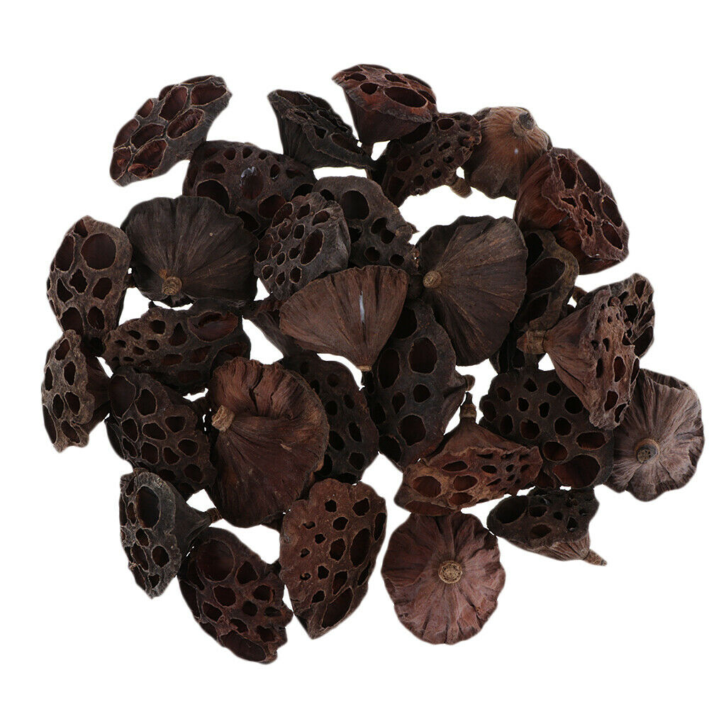 120pcs Natural Dried Lotus Pod Flowers Fruit For Xmas Home Party Garland