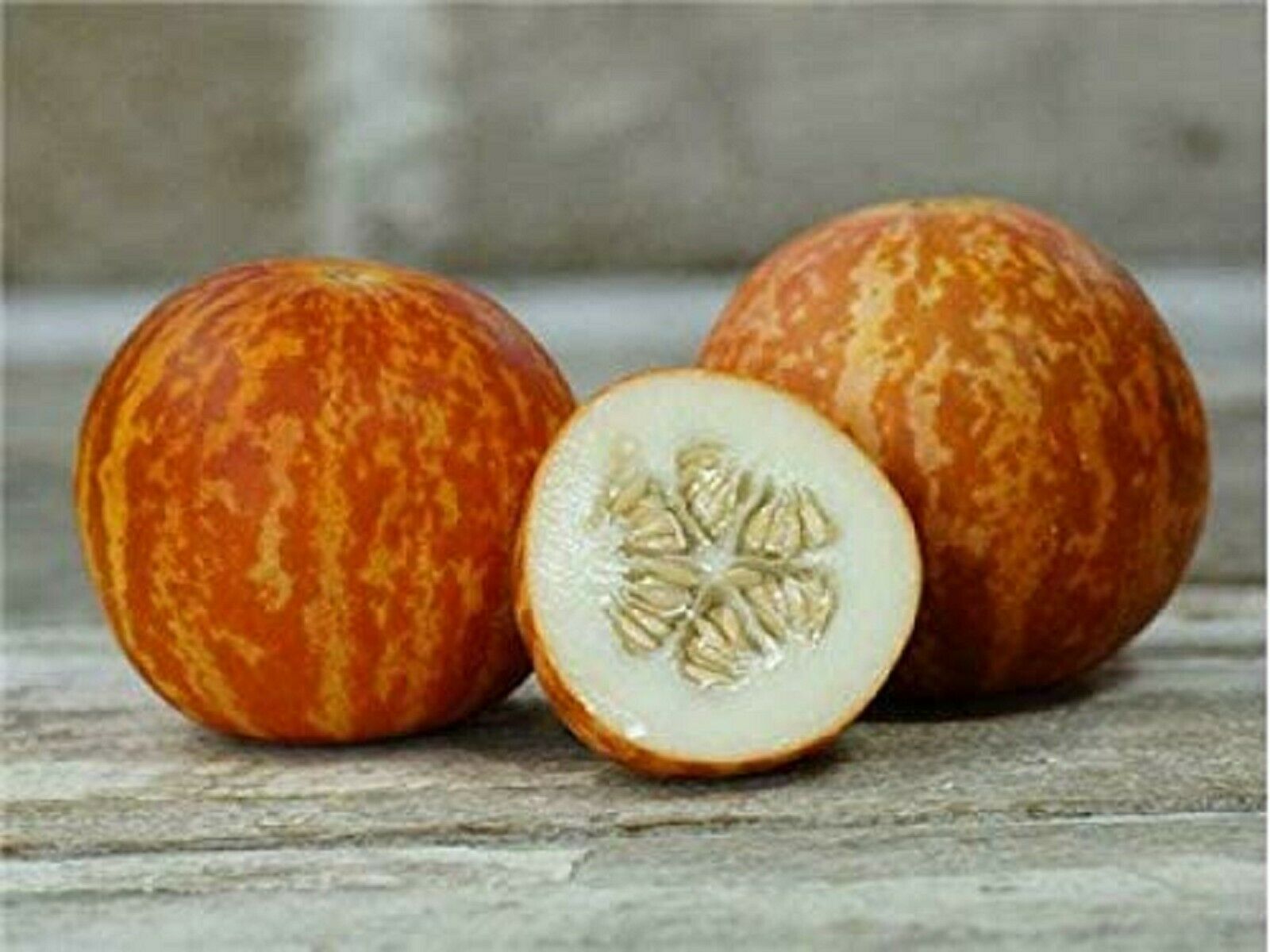 Tigger Melon ~ Cucumis Melo ~ Ornamental Edible Delicious ~ Exotic Cantaloupe ~