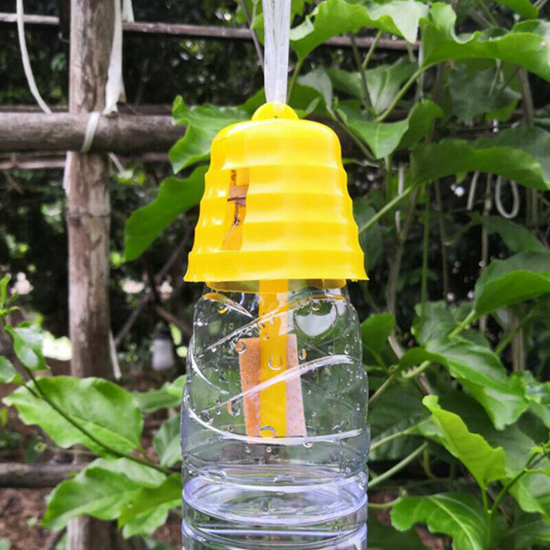 Fruit Fly Trap Killer Drosophila Trap Fly Catcher With Attractant Garden .l8