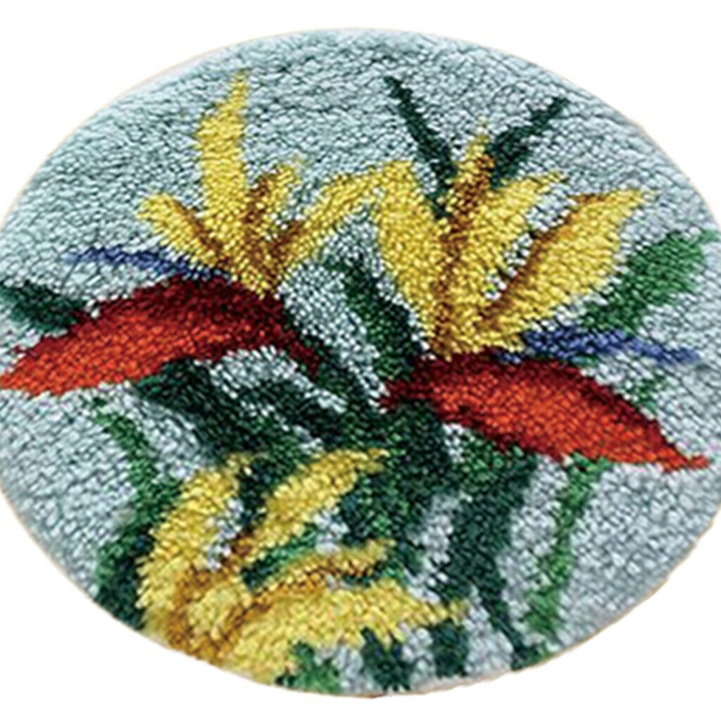 Latch Hook Rug Kit with Basic Tools Carpet Rug Embroidery Package Handicraft