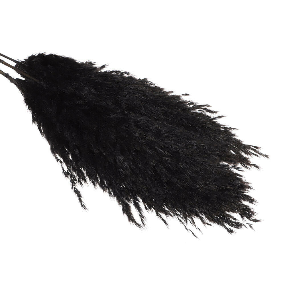 Material Pampas Grass Real Flower Reed Natural Dried Bouquets Plant Stems