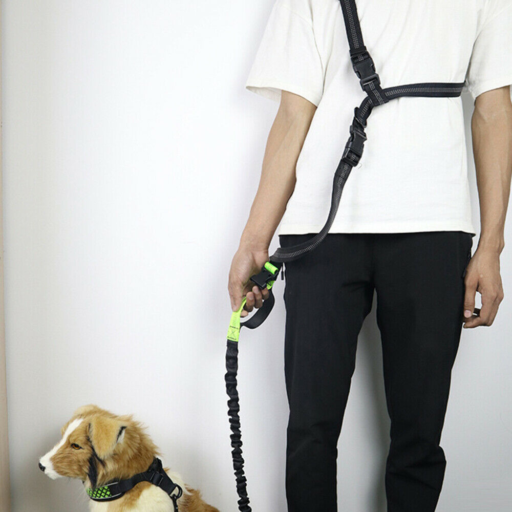 Adjustable Dog Walking Bungee Lead Strong Coupler Elastic Anti Strain Leash NEW
