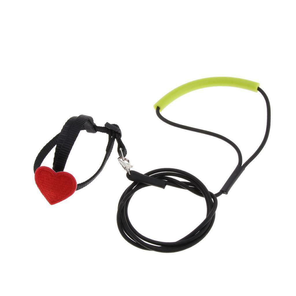 Soft Elastic Parrot Bird Leash Bird Harness Leash for Budgerigar Lovebird