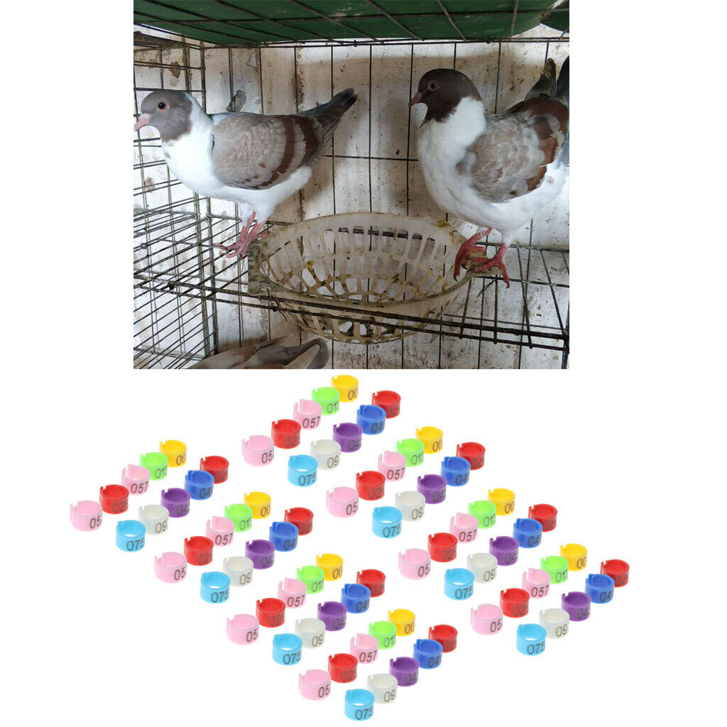 100Pcs Plastic Pigeon Leg Rings Bird Rings Identification Race Colorful Ring