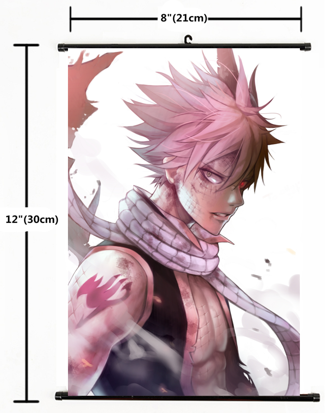 Japanese Anime Fairy Tail Home Decor Poster Wall Scroll 2041