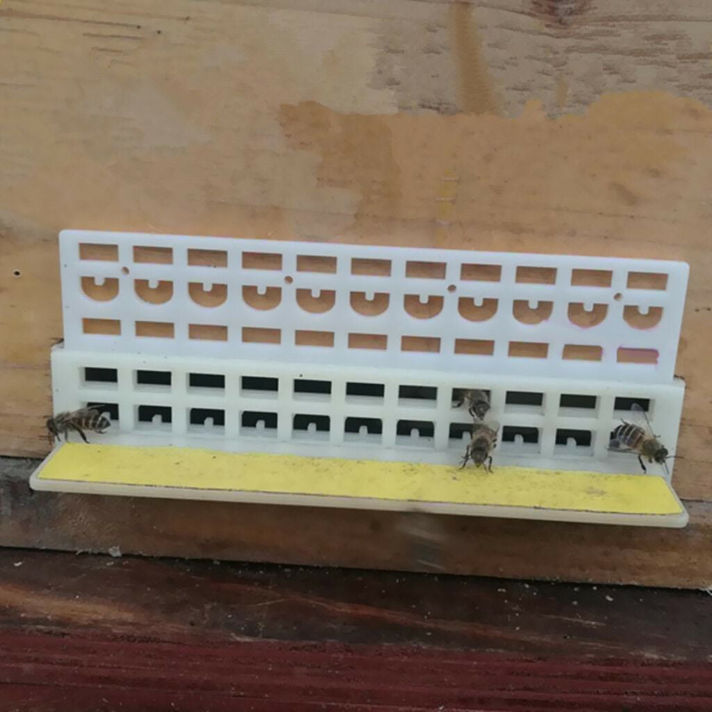 1Pc Beekeeping Tool Anti Escape Bees Queen Plastic Frame Hive Equipment