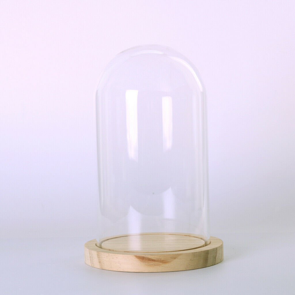 Glass Cover Landscape Vase Terrarium Round Wood Tray Flower Decor Gift L