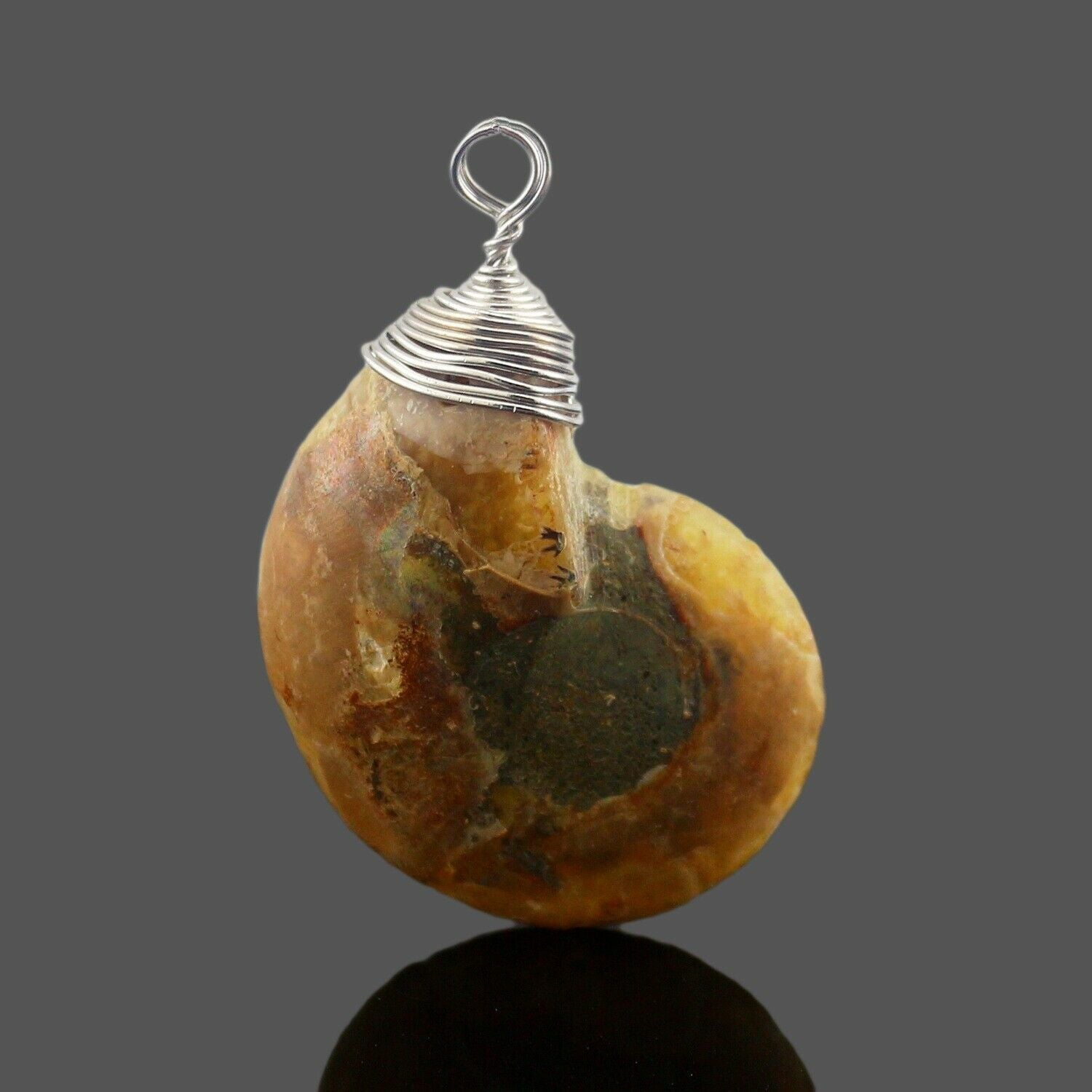 1Pc Natural Stone Ammonite Fossils Seashell Snail Conch Pendant Necklace Jewelry