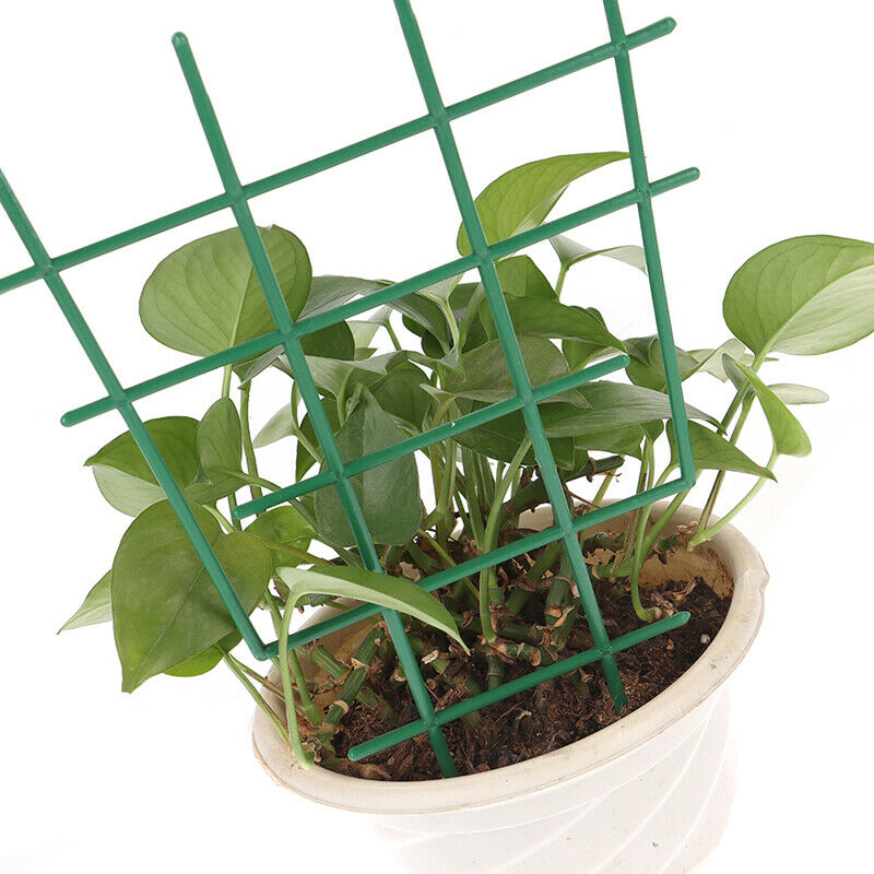 Garden Climbing Plastic Plant Support Frame Indoor Flower Plant Support Stand XC