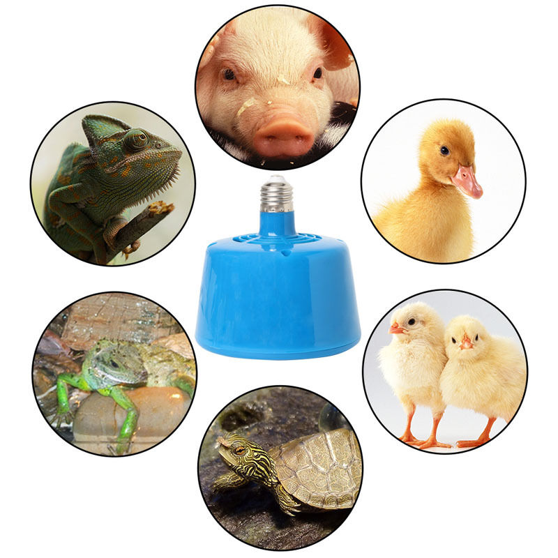 100-300W Pets Livestock Piglets Chickens Heat Warm Lamp Keep Warming Bulb 220V