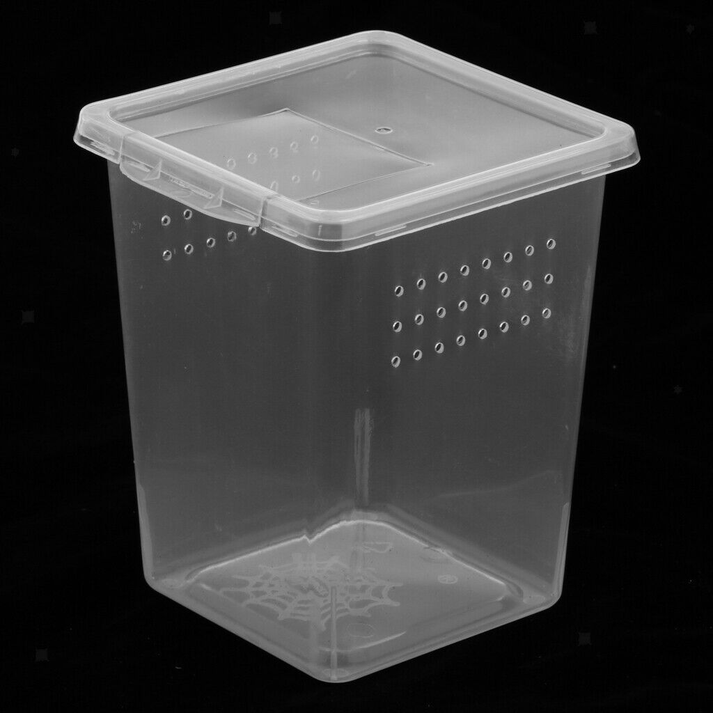 Plastic Insect Turtle Spider Habitat Feeding Box Container Tank 8x8x11cm