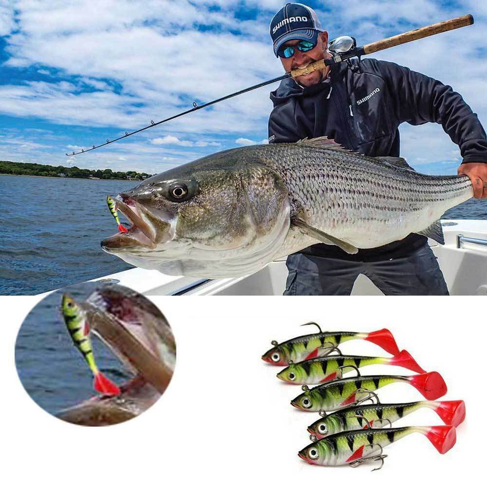 5Pcs Soft Lures Fishing Lures Fishing Lures with Hooks