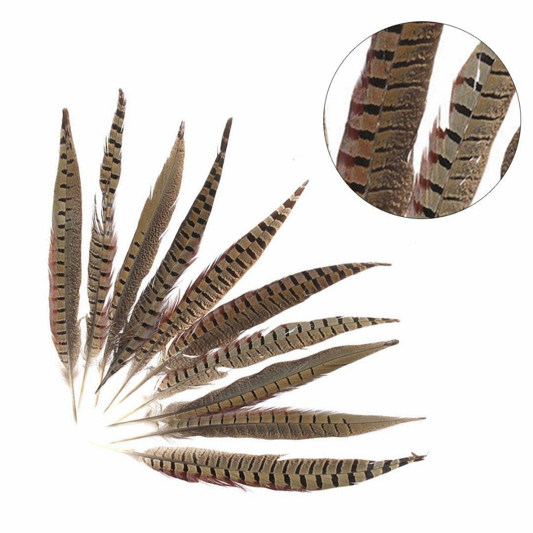 10PCS Natural Pheasant Tail Feathers30-35mm Carnival