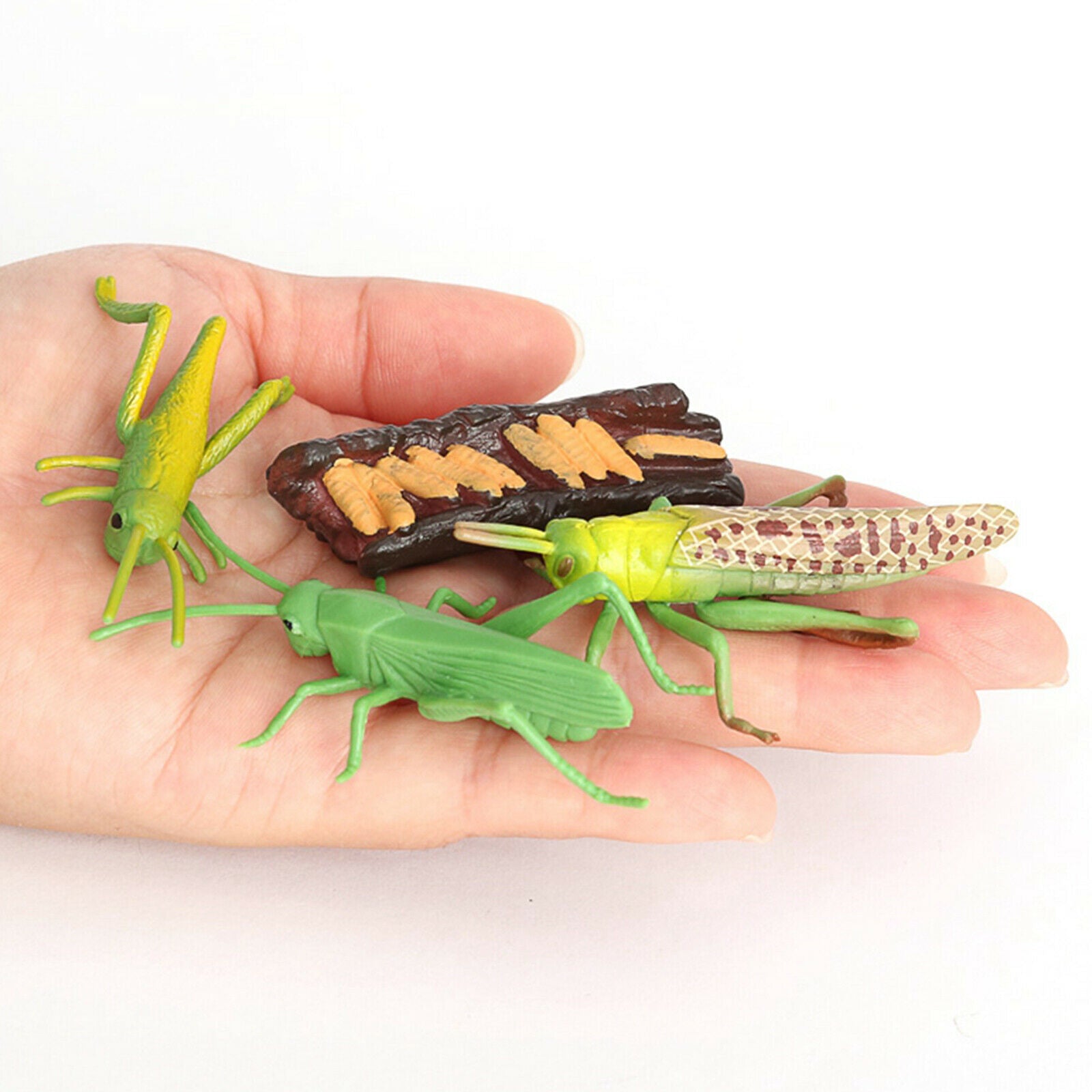Plastic Nature Grasshopper Growth Figures Kids Child Learning Cognitive Toys
