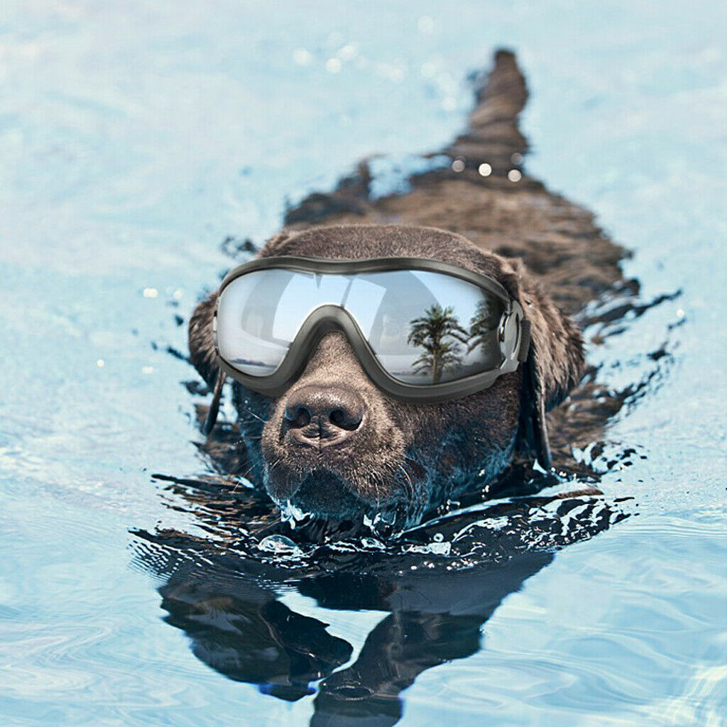 Dog Goggles Sunglasses Windproof UV Protection For Medium Large Dogs Glasses