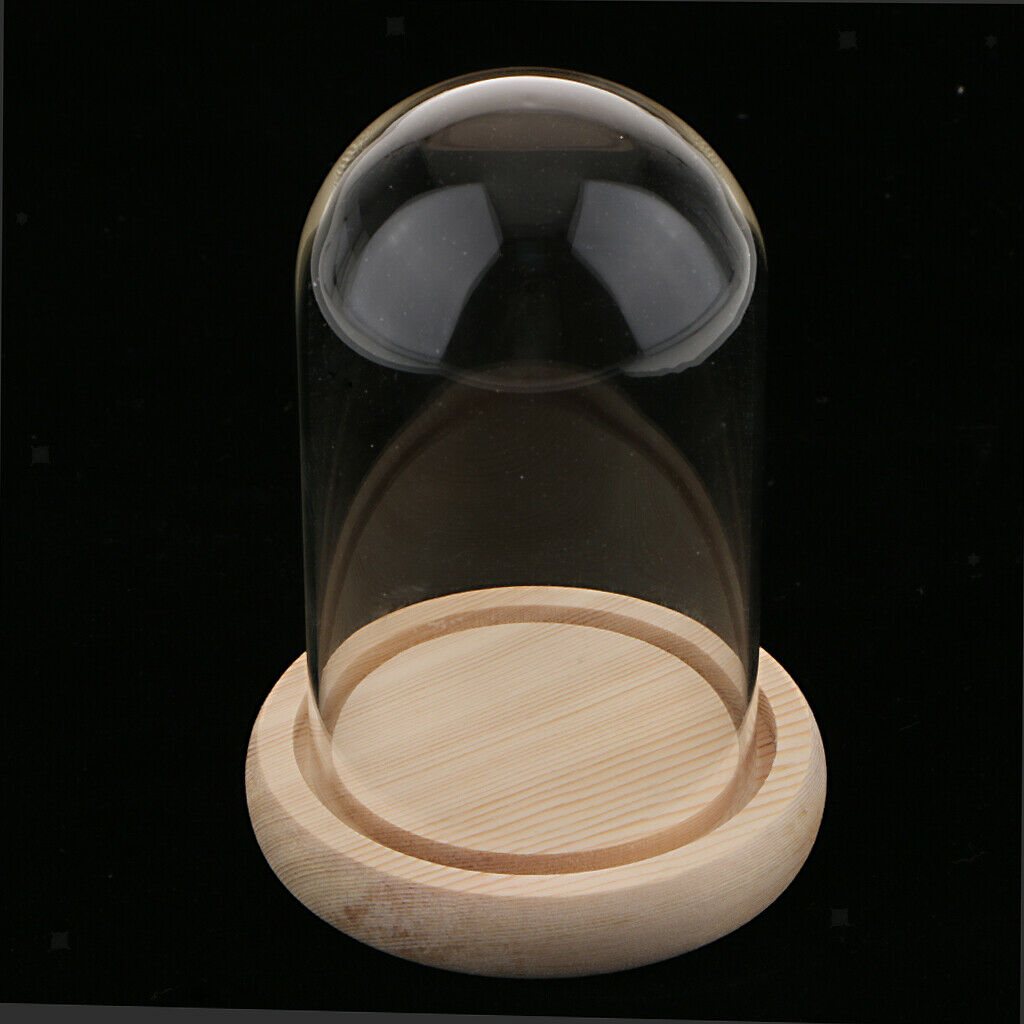 Glass Display Dome Cloche Bell Jar With Wooden Base for DIY Decoration #A