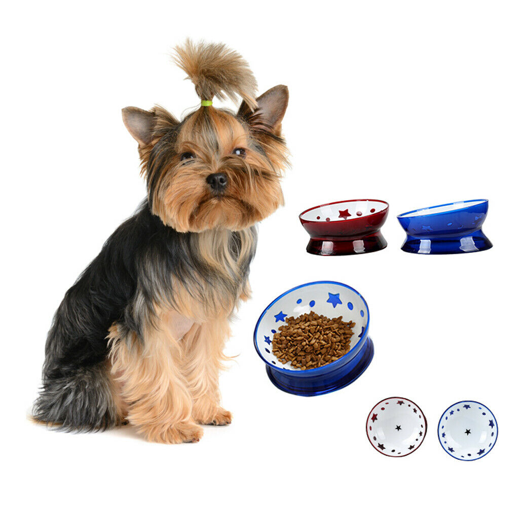 Pets Dogs Food Feeder Cat Water Bowl Feeding Bowl Dish Container Blue