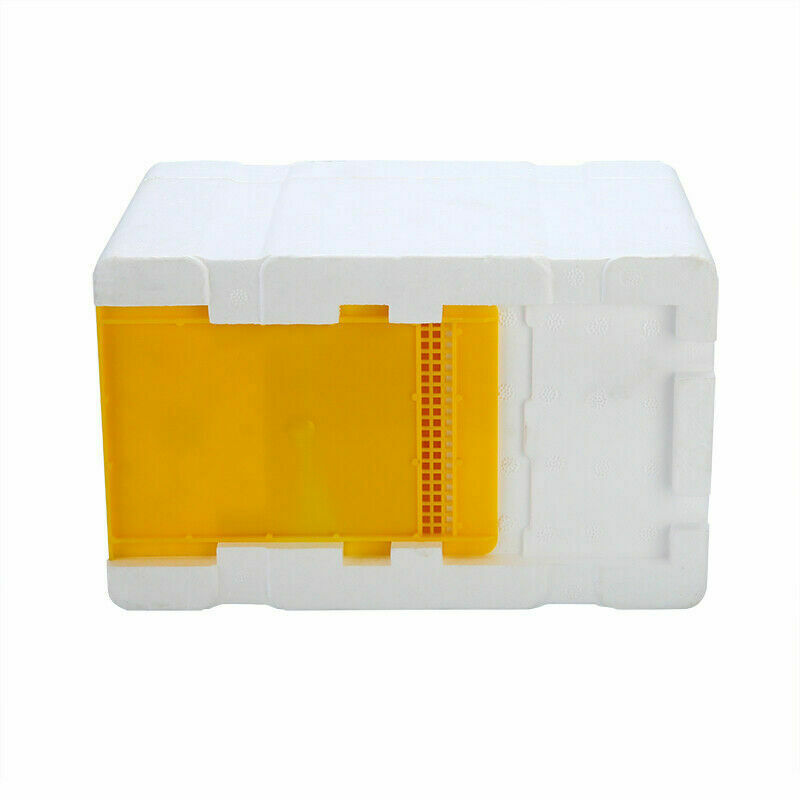 Auto Honey Beehive Foam Frame Beekeeping Kit Bee Hive King Box Pollination Box