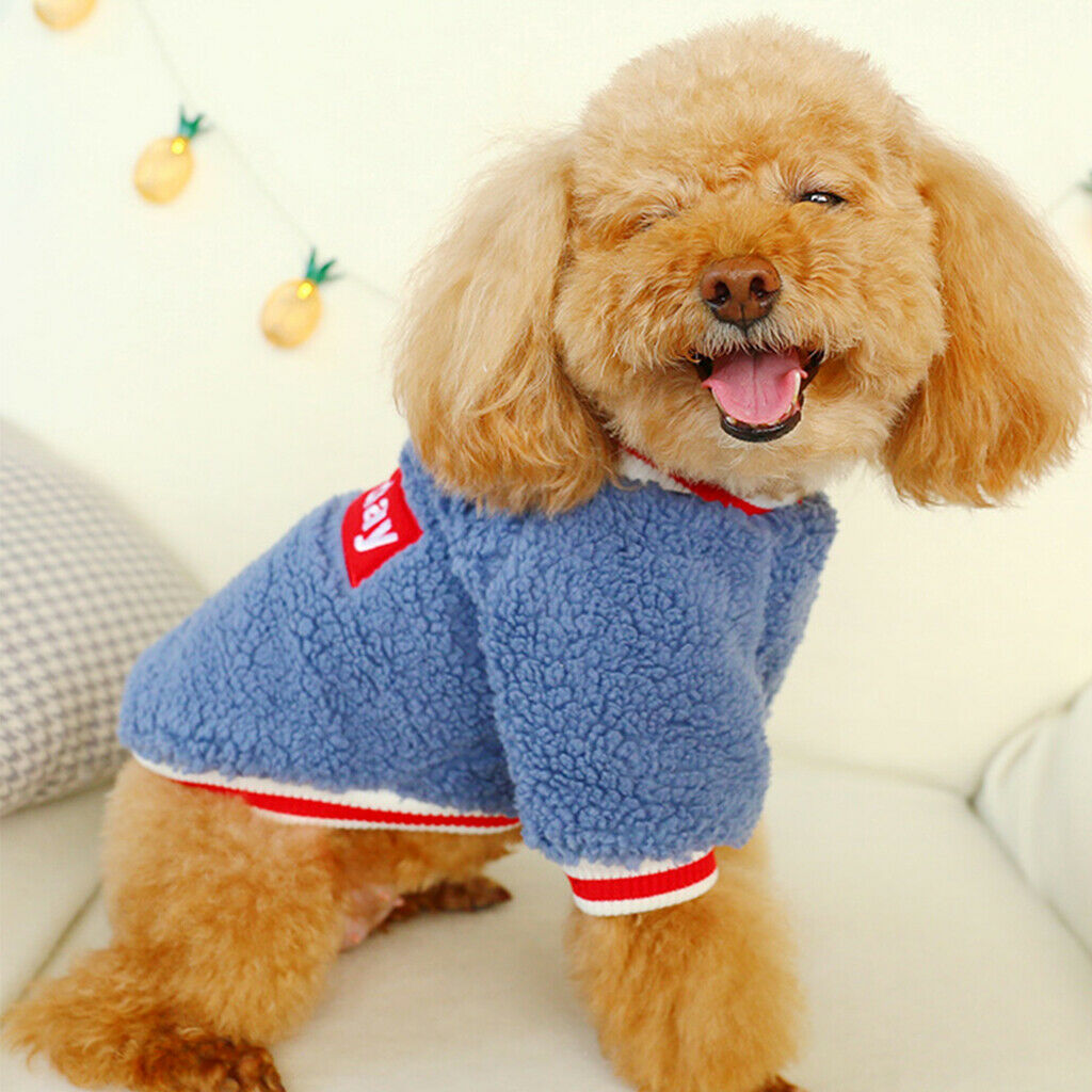 2Pcs Cute Dog Winter Warm Coat Dog Jacket Apparels For Small Dogs Puppy