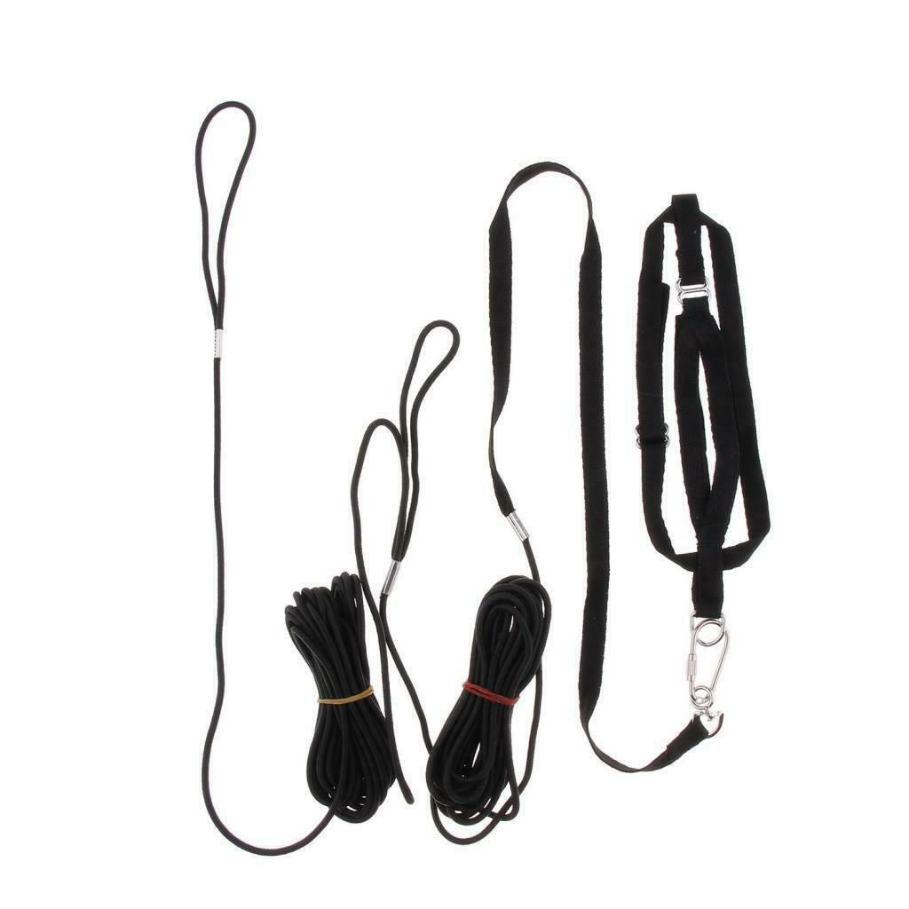 Outdoor Parrot Leash Adjustable Bird Harness For Small to Large Birds Black
