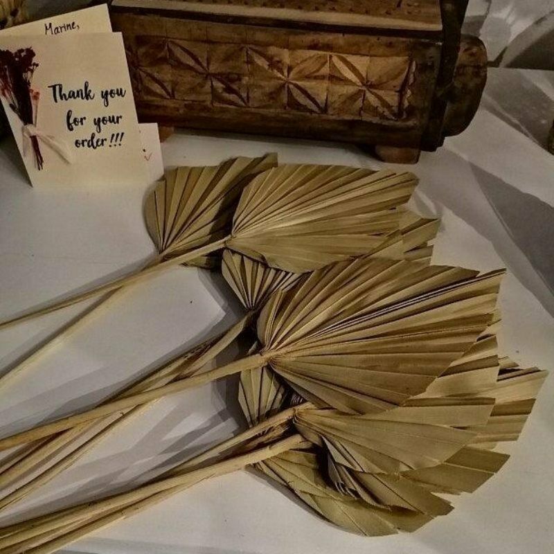 1pc Dried Flower Natural Pu Fan Leaf For DIY Home Shop Display DecorationBDZ TL