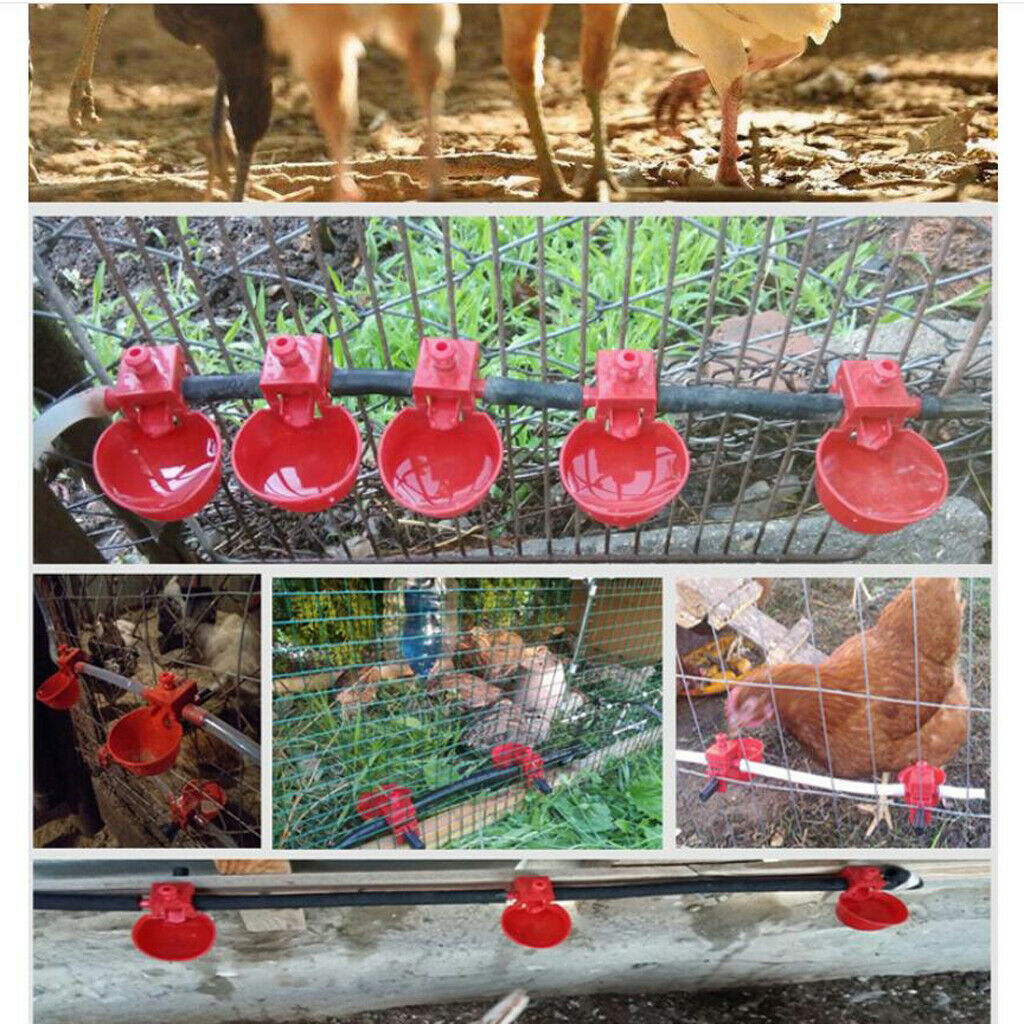10Pcs Poultry Water Drinking Plastic Chicken Automatic Drinker For Poultry