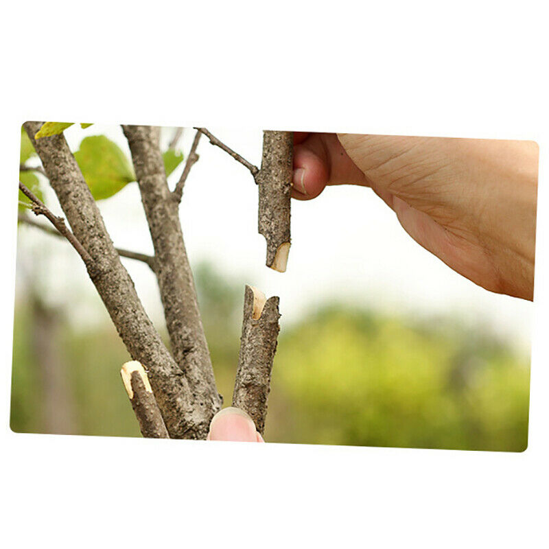 Grafting Pruner Garden Grafting Tool Professional Branch Cutter Secateur PrY NC