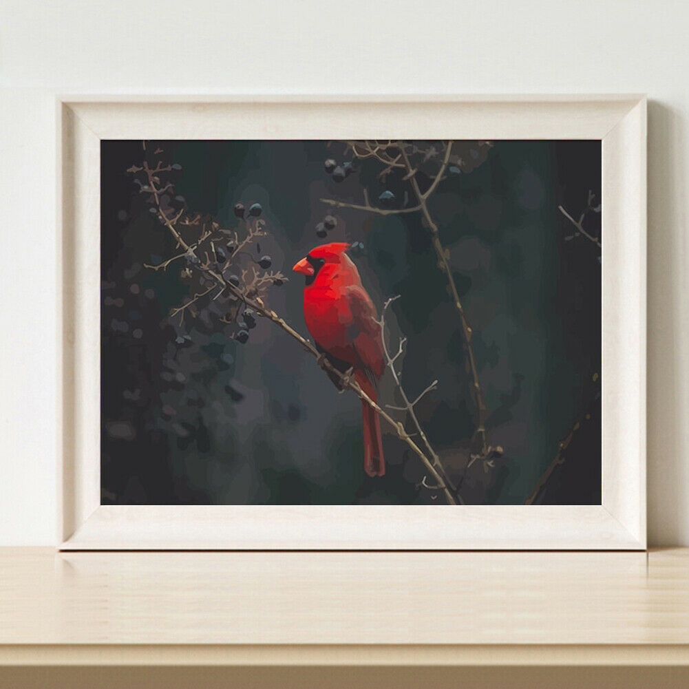 DIY Oil Painting By Number Kit Redbird Hand Painted Craft Drawing Decor 50x40cm