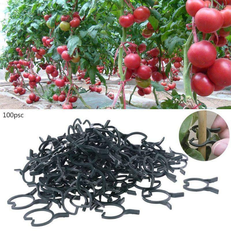 100Pcs Plant Garden Clips Vegetable Plant  Vine Support Clips Holding Plant Stem
