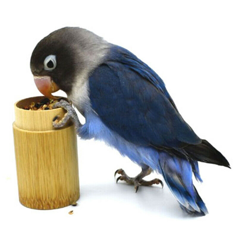 Bird Training Food Jar Parrot Hand-held Feeder IQ Growth Training ToolsBDAU