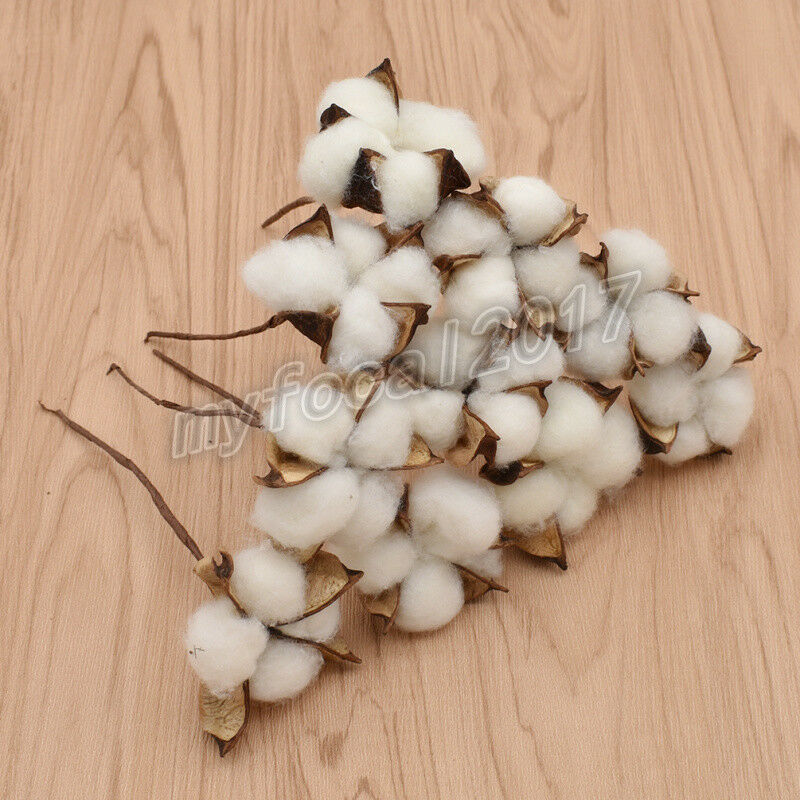 10x Natural Dried Cotton Artificial Plants Flowers Branch For Home Wedding Decor