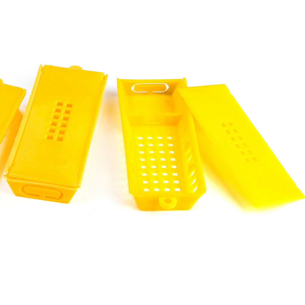 10 Queen Bee Butler Cages with Beekeeping Tools