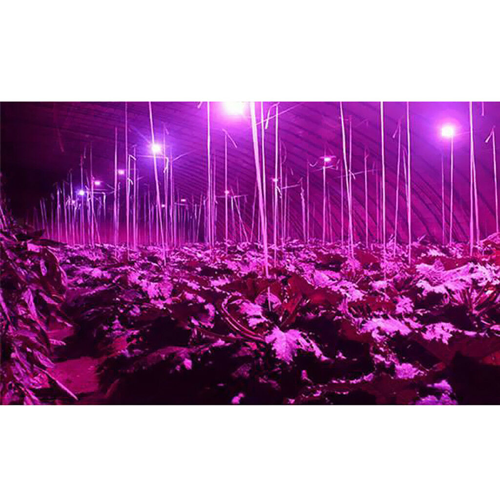 Full  LED Grow Light Indoor Grow Tent Plants Growth and Flowers 10W