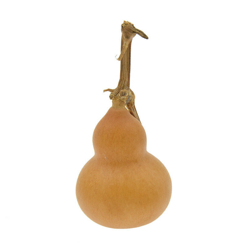 10x Miniture Hand   Gourds Natural Plante Crafts Home Gardin Decoration